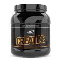 100% CREATINE MONOHYDRATE 500gr (PRO NUTRITION)