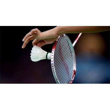 ΜΠΑΛΑΚΙΑ BADMINTON TELOON 42075 (AMILA)