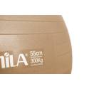 ΜΠΑΛΑ ΓΥΜΝ. 55cm 95829 Χρυσό (AMILA)