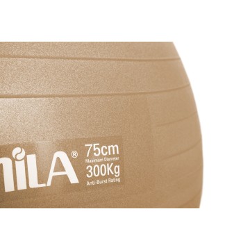 ΜΠΑΛΑ ΓΥΜΝ. 75cmGYMBALL BULK Χρυσό 48415(AMILA)